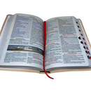 Bíblia Ele Vive Letra Gigante Capa Flexível Com Harpa e Índice Feminina Arc