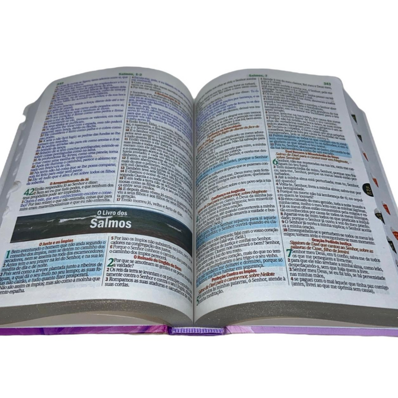 Bíblia Escolhida Por Deus Letra Gigante Capa Dura Com Harpa E Índice Feminina Arc