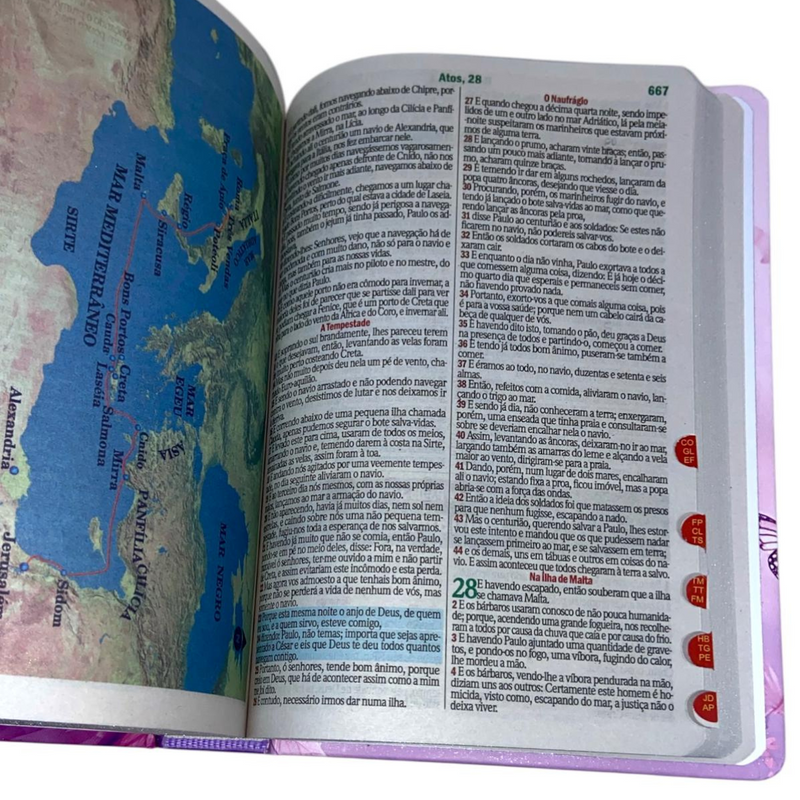 Bíblia Escolhida Por Deus Letra Gigante Capa Dura Com Harpa E Índice Feminina Arc