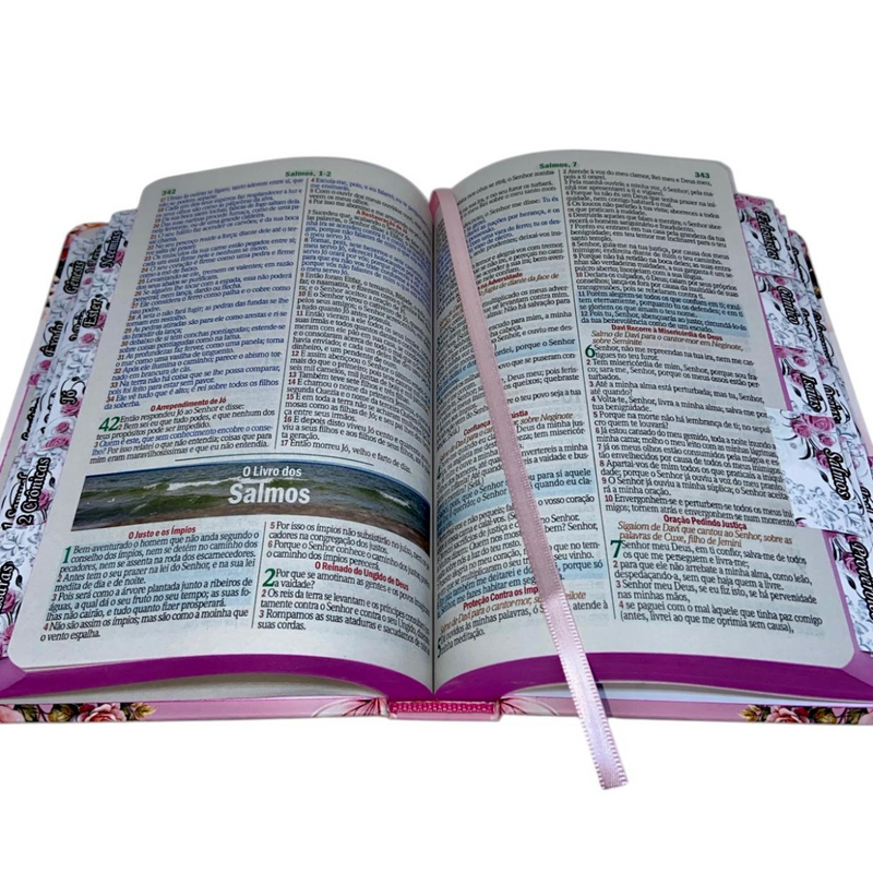 Bíblia Filha Do Rei Letra Gigante Capa Dura Com Harpa E Abas Coladas Feminina Arc