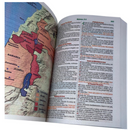 Bíblia Flor Dourada Letra Gigante Capa Brochura Com Harpa Feminina e Masculina Arc