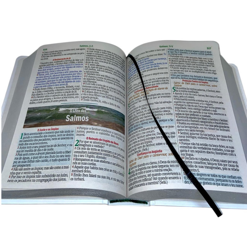 Bíblia Flores Branca Letra Hipergigante Capa Dura Com Harpa Feminina Arc