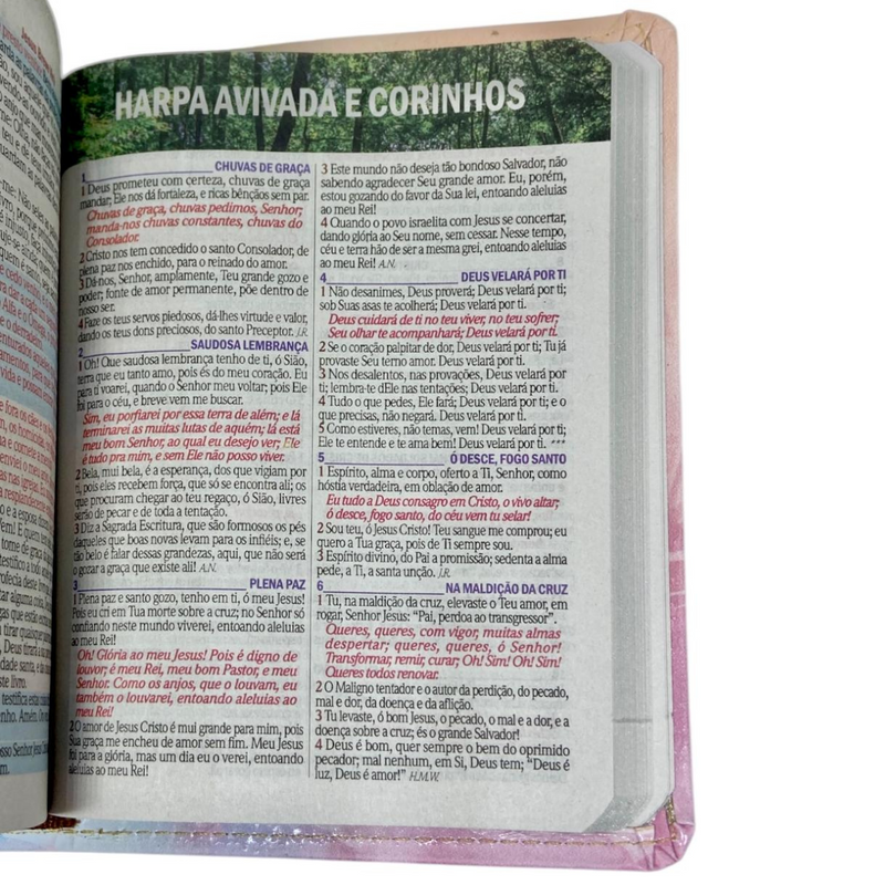 Bíblia Flores e Borboletas Letra Grande Capa Flexível Com Harpa e Índice Feminina Arc