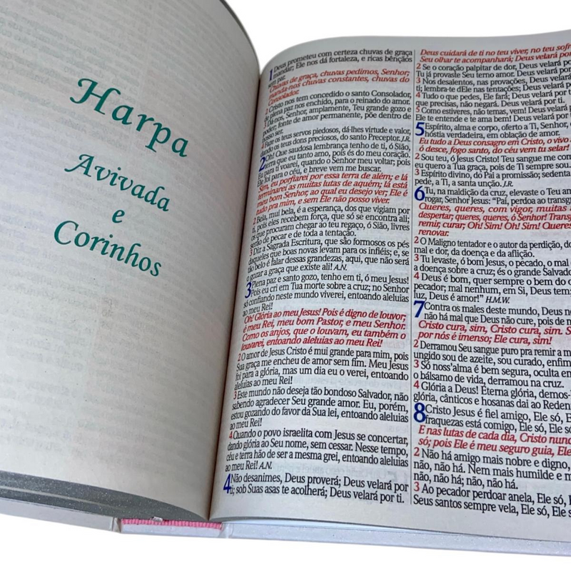 Bíblia Flor Minimalista Letra Jumbo Capa Dura Com Harpa e Índice Feminina Arc