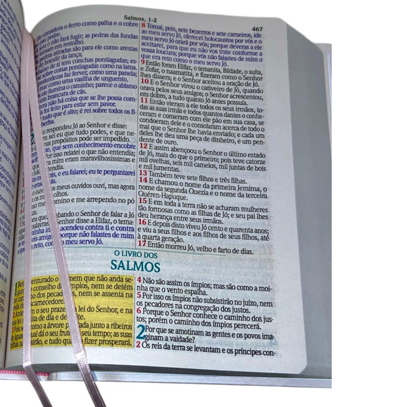 Bíblia Flor Minimalista Letra Jumbo Capa Dura Com Harpa Feminina Arc