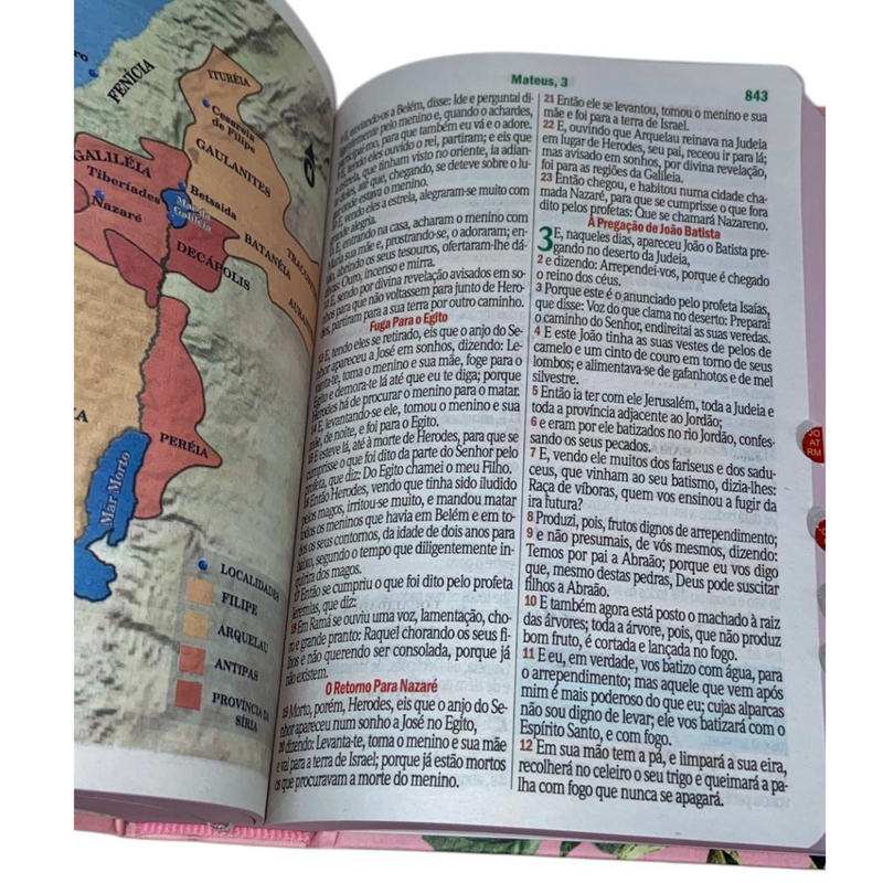 Bíblia Flor Rosa Letra Hipergigante Capa Dura Com Harpa e Índice Feminina Arc