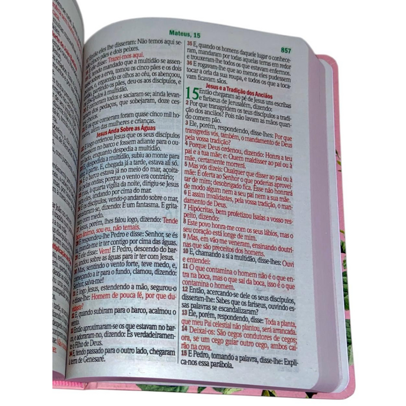 Bíblia Flor Rosa Letra Hipergigante Capa Dura Com Harpa Feminina Arc