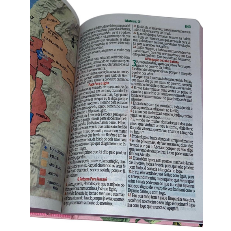 Bíblia Flor Rosa Letra Hipergigante Capa Dura Com Harpa Feminina Arc