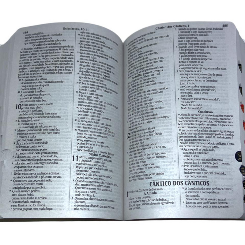 Bíblia Flor Rosa Letra Gigante Capa Brochura Com Índice Lateral Feminina Nvi
