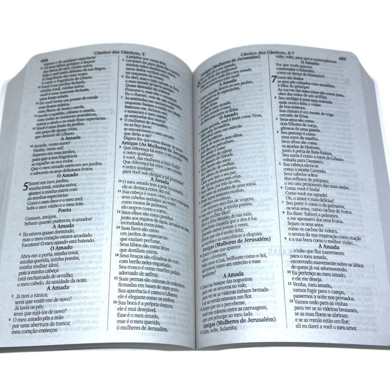Bíblia Flor Rosa Letra Gigante Capa Brochura Feminina Nvi