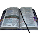 Bíblia Leão Universo Capa Dura Letra Hipergigante Com Abas Masculina Harpaa -  Arc