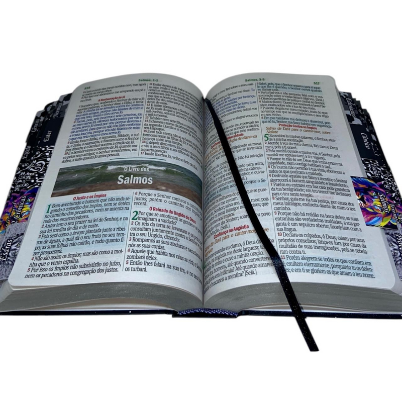 Bíblia Capa Dura Letra Hipergigante Com Abas Índice Adesivo - Leão Universo  Arc Com Harpa