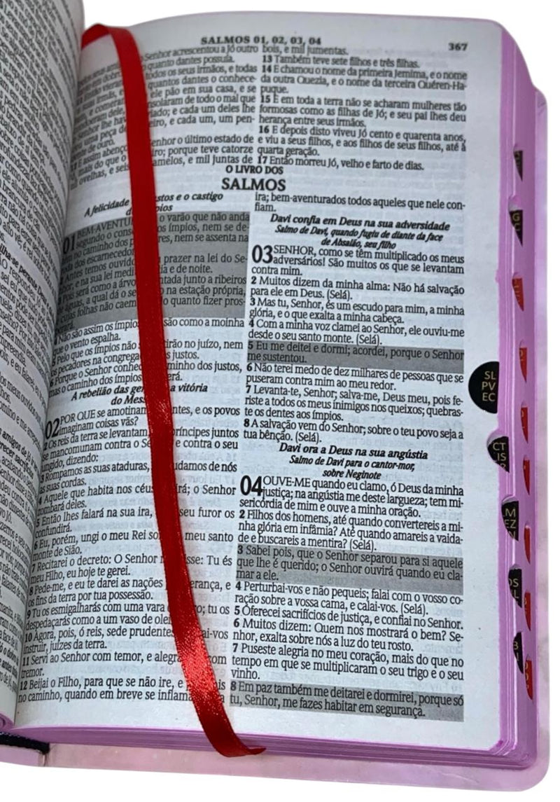 Bíblia o Senhor Te Sustenta Letra Gigante Capa Semi Flexivel - Arc