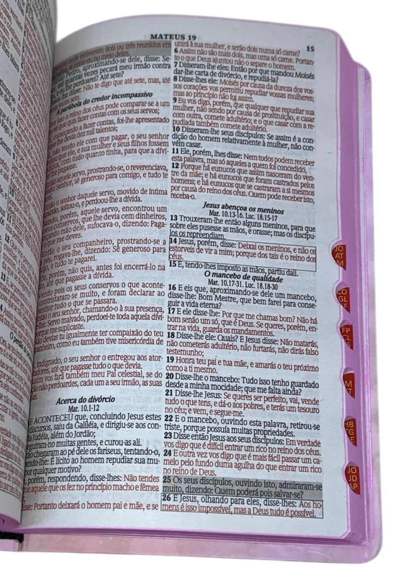Bíblia o Senhor Te Sustenta Letra Gigante Capa Semi Flexivel - Arc