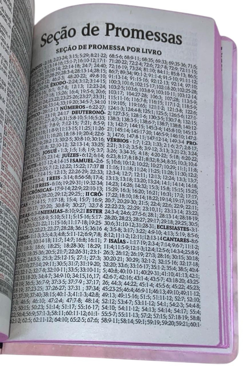 Bíblia o Senhor Te Sustenta Letra Gigante Capa Semi Flexivel - Arc