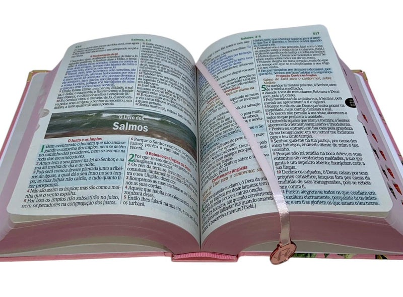 Bíblia Sagrada Letra Hipergigante PPM Capa Dura Flor Rosa Feminina Com Harpa ARC e Índice