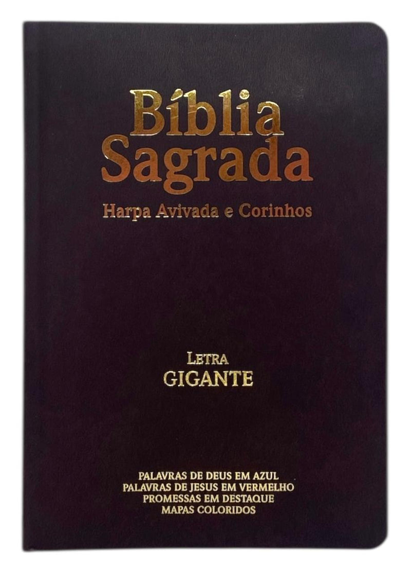 Bíblia Cor Marrom Letra Gigante Capa Semi Flexível Com Harpa e Índice Colorida Arc