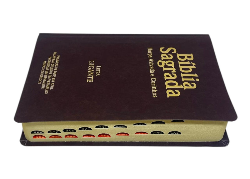Bíblia Cor Marrom Letra Gigante Capa Semi Flexível Com Harpa e Índice Colorida Arc