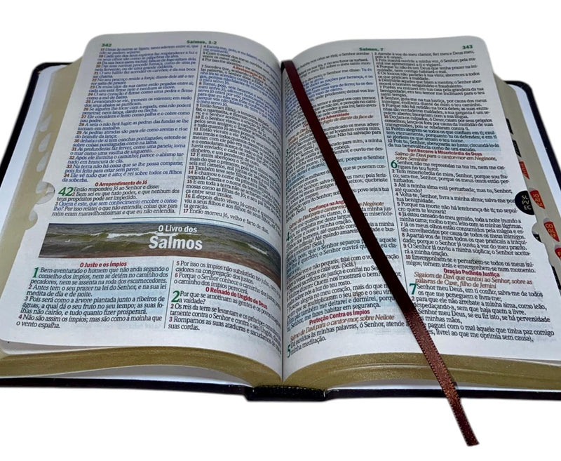 Bíblia Cor Marrom Letra Gigante Capa Semi Flexível Com Harpa e Índice Colorida Arc