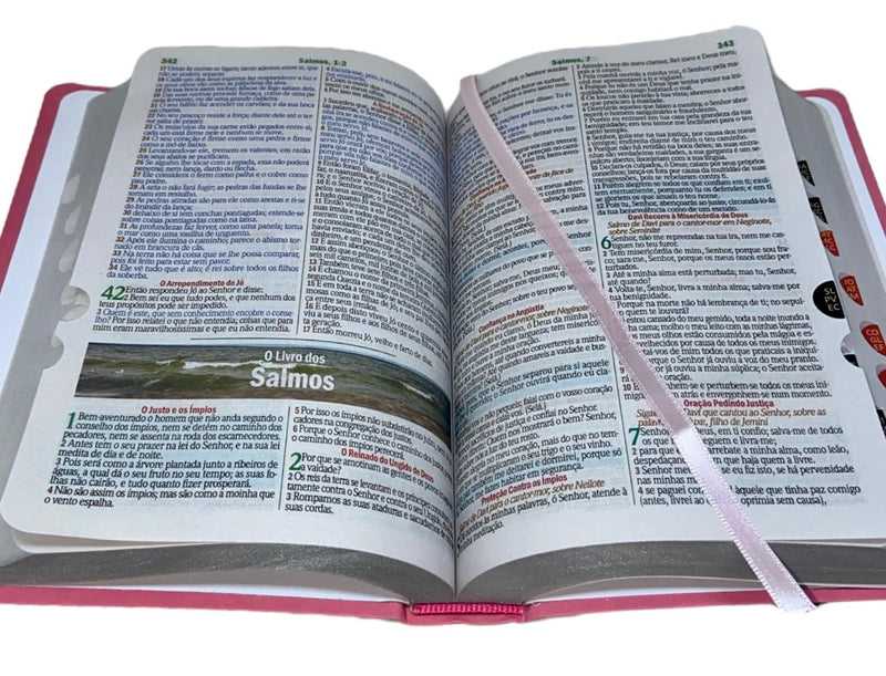Bíblia Cor Rosa Letra Gigante Capa Semi flexível Com Harpa e Índice Colorida Arc