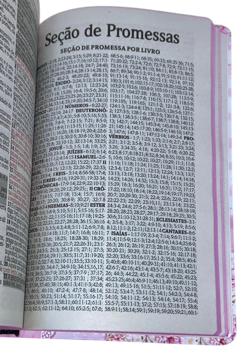 Bíblia Deus é bom Letra Gigante Capa Semi Flexivel Com Índice Lateral - Arc