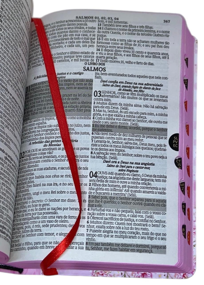 Bíblia Deus é bom Letra Gigante Capa Semi Flexivel Com Índice Lateral - Arc