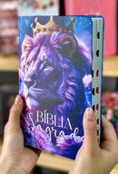 Bíblia Amor Eterno Letra Gigante Capa Semi Flexivel Com Índice Lateral - Arc