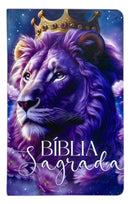 Kit 2 Bíblias Sagrada Feminina - Capa Semi Flexivel Letra Gigante Amor Eterno e Deus é Bom - Arc