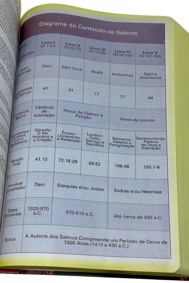Bíblia de Estudo Tradicional Letra Hipergigante Capa Dura Feminina e Masculina King James