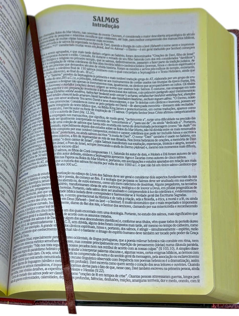 Bíblia de Estudo Tradicional Letra Hipergigante Capa Dura Feminina e Masculina King James