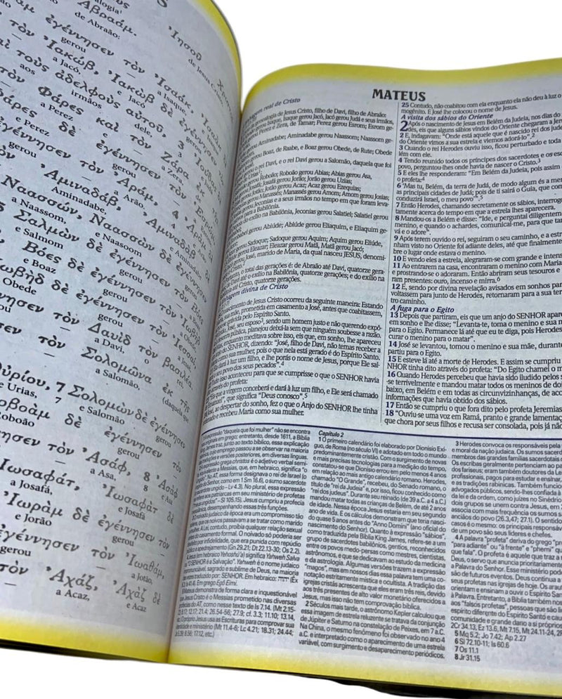 Bíblia de Estudo Tradicional Letra Hipergigante Capa Dura Feminina e Masculina King James