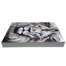 Bíblia Leão Desenho Letra Gigante Capa Brochura Com Harpa Masculina e Feminina Arc