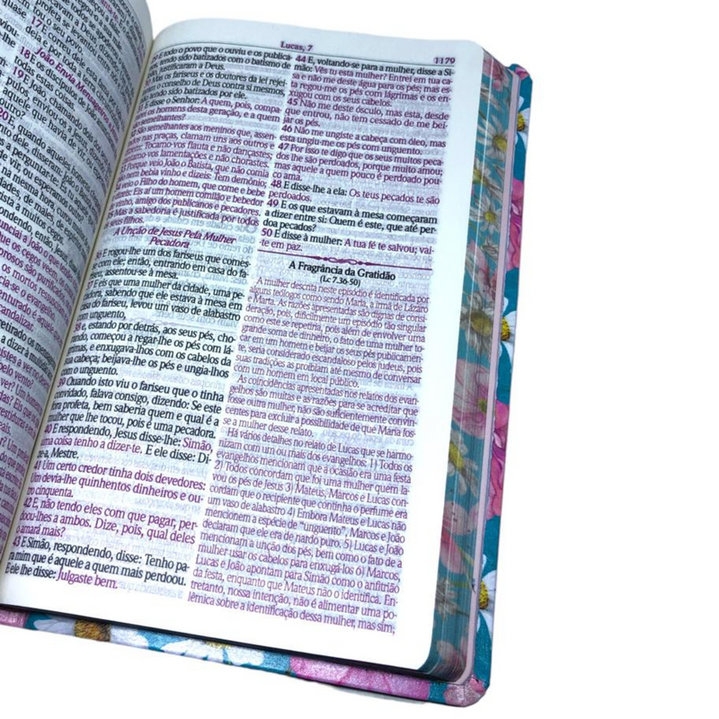 Bíblia Da Mulher Sábia Jardim Margaridas Com Estudo Letra Hipergigante Capa Dura Com Harpa Caixa e Livro de Brinde Feminina Arc