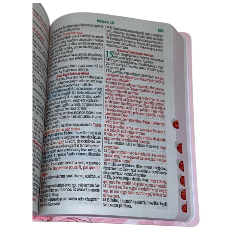Bíblia Jardim Rosa Letra Hipergigante Capa Dura Com Harpa e Índice Feminina Arc