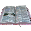 Bíblia Jardim Rosa Letra Hipergigante Capa Dura Com Harpa e Índice Feminina Arc