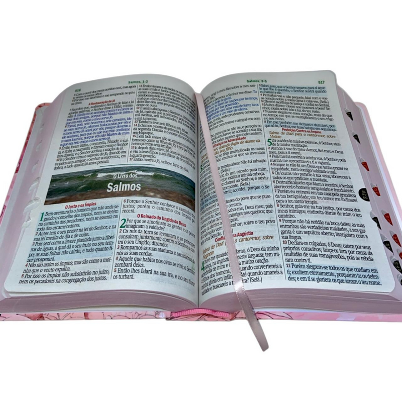 Bíblia Jardim Rosa Letra Hipergigante Capa Dura Com Harpa e Índice Feminina Arc