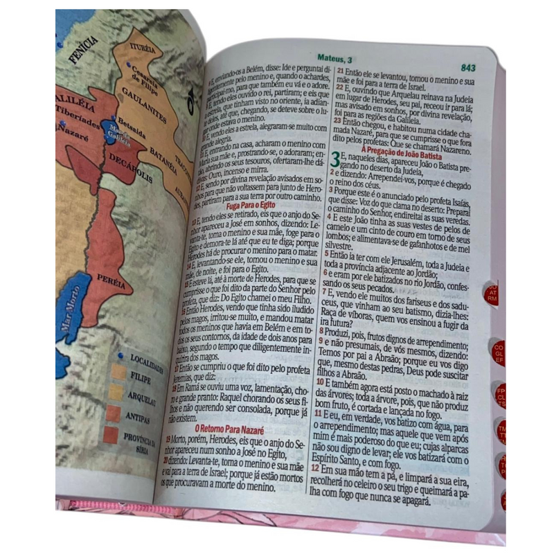 Bíblia Jardim Rosa Letra Hipergigante Capa Dura Com Harpa e Índice Feminina Arc