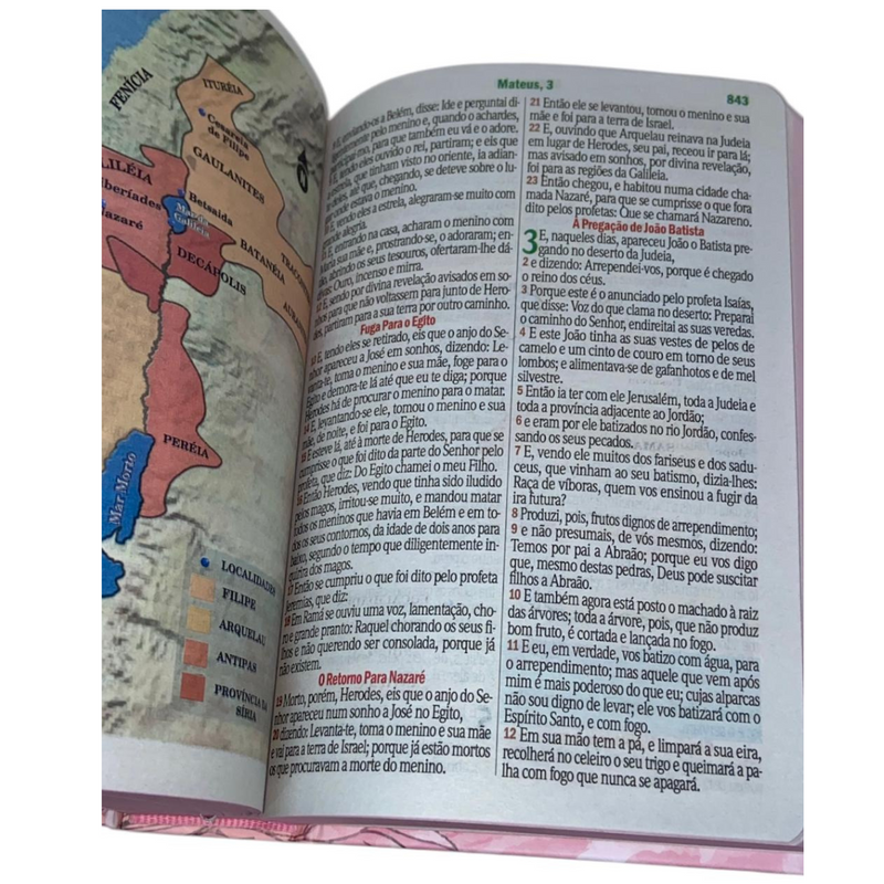 Bíblia Jardim Rosa Letra Hipergigante Capa Dura Com Harpa Feminina Arc