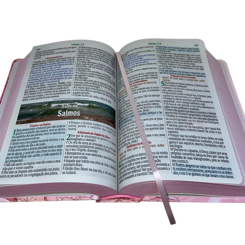 Bíblia Jardim Rosa Letra Hipergigante Capa Dura Com Harpa Feminina Arc