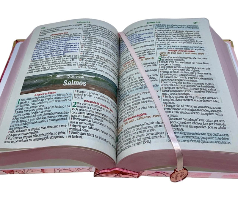 Bíblia Sagrada Letra Hipergigante PPM Capa Dura Jardim Rosa Feminina Com Harpa ARC