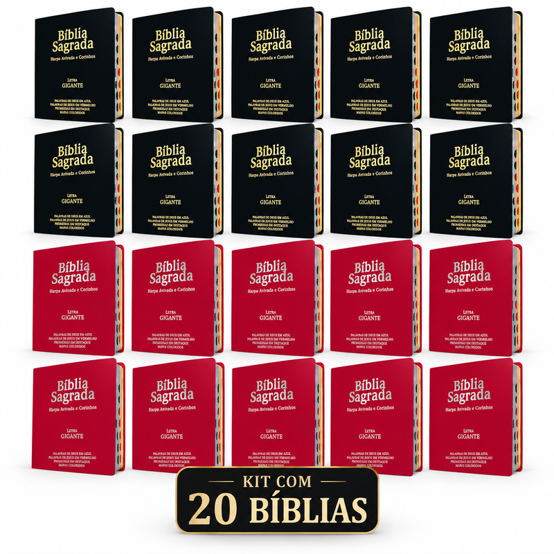 Kit 20 Bíblias Sagradas Luxo Gigante PPM Pink & Preta Com Índice E Harpa Avivada e Corinhos - Full Color