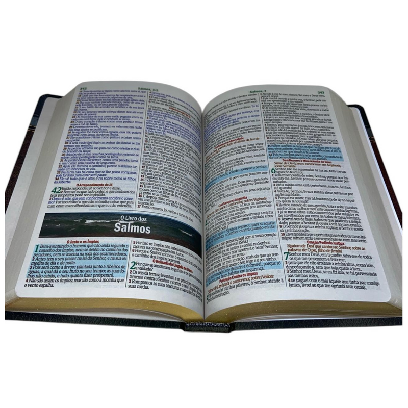 Bíblia Cor Marrom Letra Gigante Capa Laminada Com Harpa Feminina e Masculina Arc
