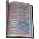 Bíblia Cor Marrom Letra Gigante Capa Laminada Com Harpa Feminina e Masculina Arc