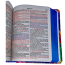 Bíblia Leão Aquarela Letra Grande Capa Dura Com Harpa Feminina Arc