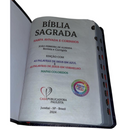 Bíblia Leão Celestial Letra Gigante Capa Flexível Com Harpa e Índice Feminina Arc