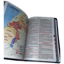 Bíblia Leão Celestial Letra Gigante Capa Flexível Com Harpa e Índice Feminina Arc