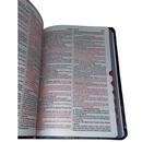 Bíblia Leão Celestial Letra Gigante Capa Flexível Com Harpa e Índice Feminina Arc