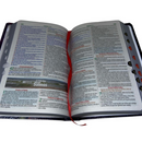 Bíblia Leão Celestial Letra Gigante Capa Flexível Com Harpa e Índice Feminina Arc