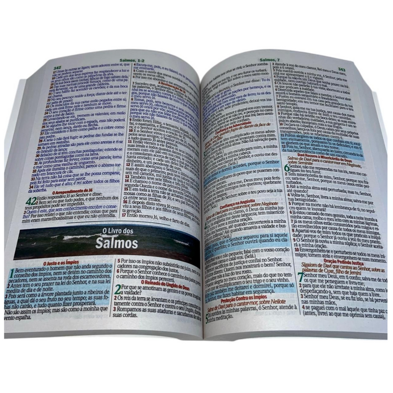 Bíblia Leão P&B Letra Gigante Capa Brochura Com Harpa Masculina Arc