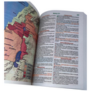 Bíblia Leão P&B Letra Gigante Capa Brochura Com Harpa Masculina Arc